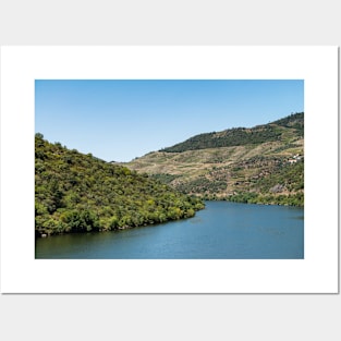 Vineyars in Douro Valley Posters and Art